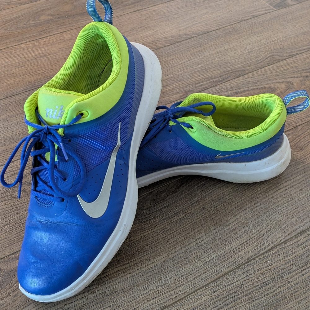 Nike Blue and Green Sneakers